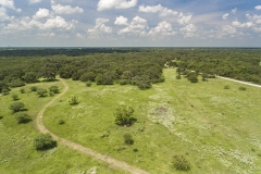 Coleto-Ranch-wooded-areas