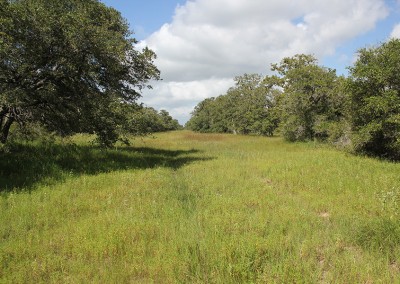 252 +/- Acres For Sale – SOLD – Lavaca County