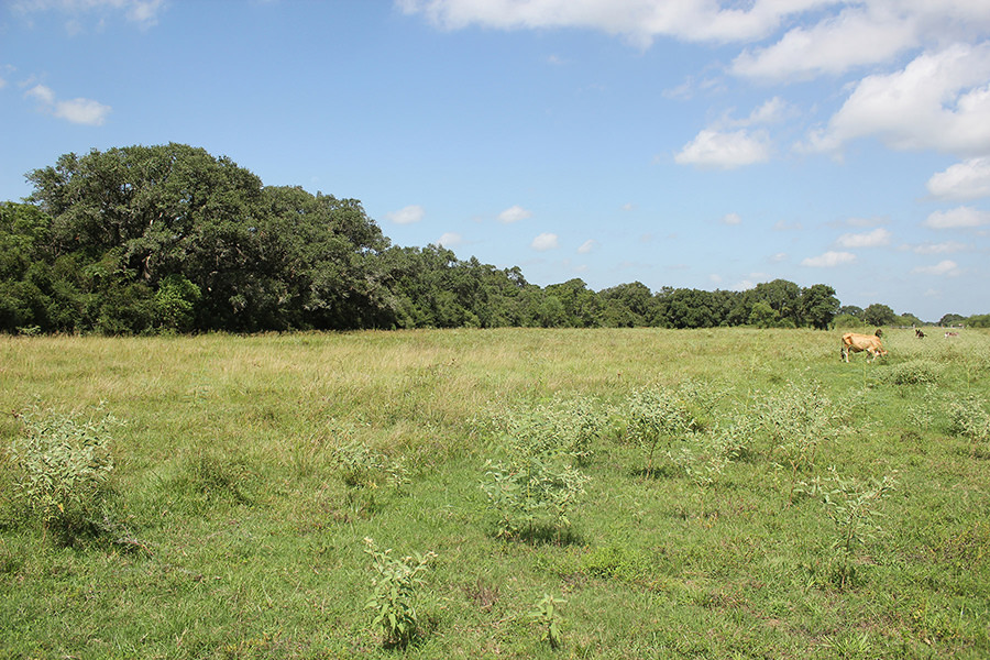 289 Acres For Sale – Beck Road Ranch