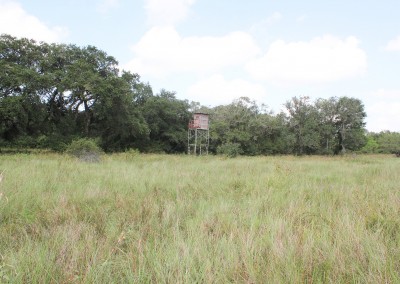 145 Acres For Sale – South Tract – Beck Rd Ranch