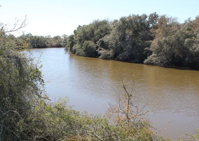 248 Acres For Sale – Carancahua Creek Ranch – Under Contract