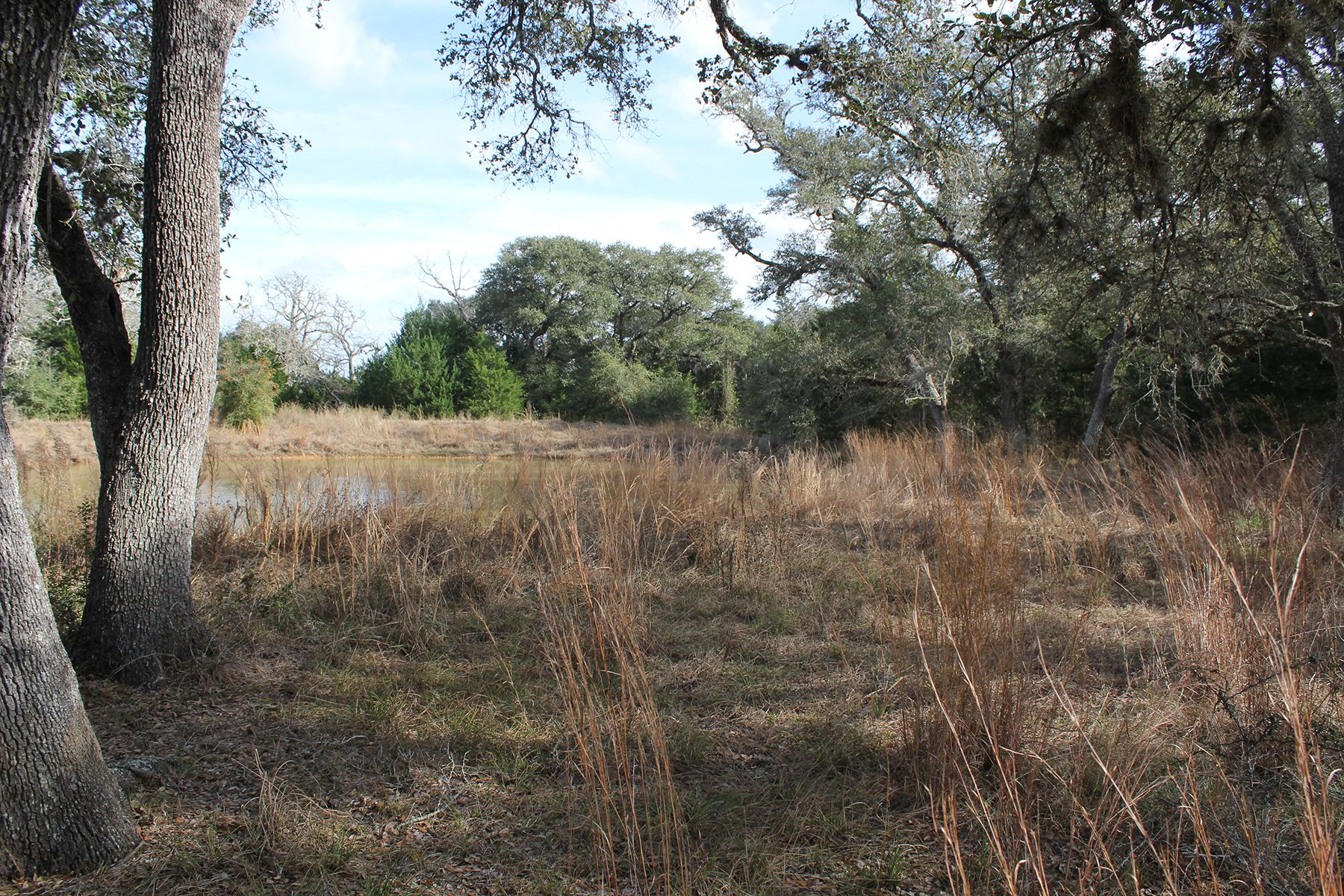 30 Acres For Sale – Lavaca County – SOLD