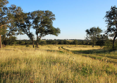 584 Acre Chisholm Creek Ranch – SOLD!!