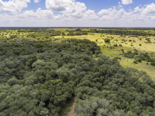 154+/- Acre Foster Rd Ranch For Sale