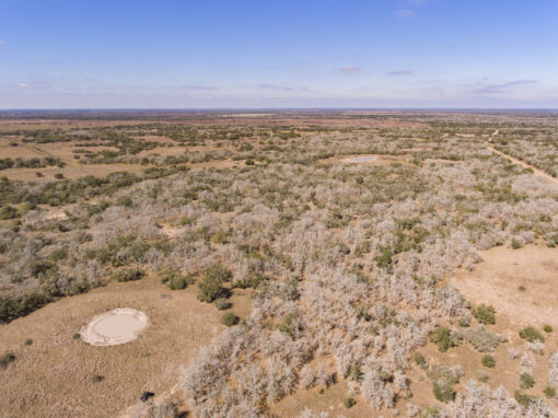 155+/- Acre Ezzell Ranch