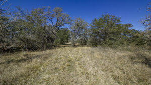 439.22+/- Acre Shelly Ranch – Under Contract