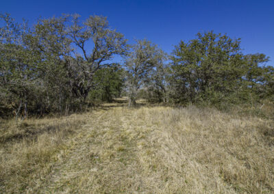 439.22+/- Acre Shelly Ranch – Sold!