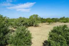 DJI_0003