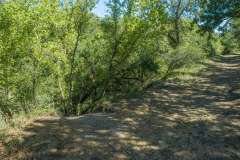 DJI_0040