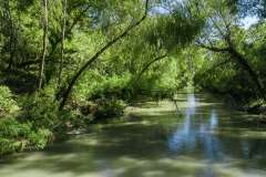 DJI_0059