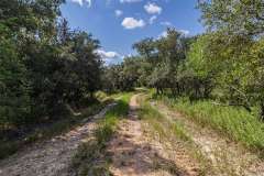 MG_0225-2