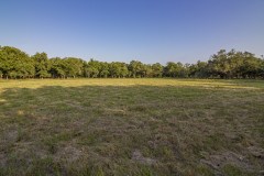 IMG_8431