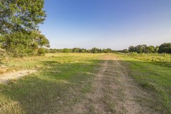 IMG_8460