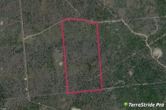 aerial
