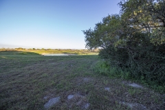 seadrift ranch 10