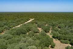 DJI_0017