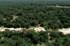 aerial2