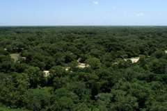 aerial4