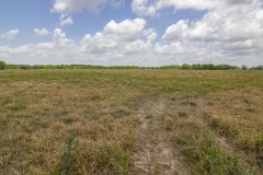 IMG_8155