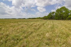 IMG_8167