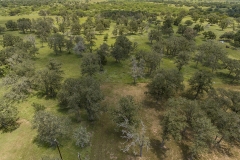 back aerial