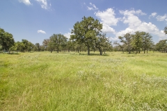 back pasture 2