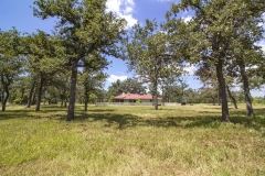 back pasture view