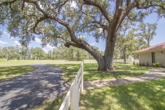 front fence entrance 2