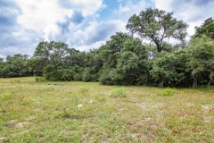 Coleto-72-open-area-2