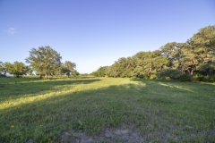 Coleto-Lake-72-Wooded-Areas