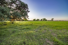Coleto-Lake-72-open-area-2