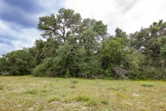 Coleto-Lake-72-open-area-3