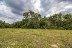 Coleto-Lake-72-open-area-4