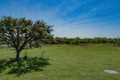 DJI_0037