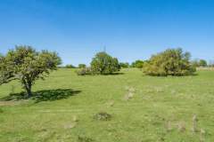 DJI_0038