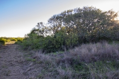 Seadrift Ranch 5