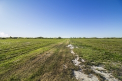 Seadrift Ranch Road 2
