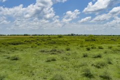 DJI_0019