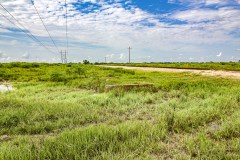 IMG_6911