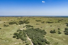 DJI_0004