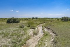 DJI_0070