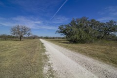 IMG_6321