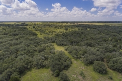 Foster Rd Ranch Aerial 2