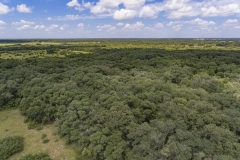 Foster Rd Ranch Aerial 3