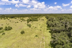 Foster Rd Ranch Brushline 2