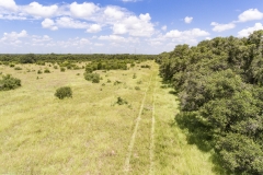 Foster Rd Ranch Brushline