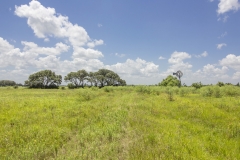 Foster Rd Ranch Open Area (2)