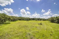 Foster Rd Ranch Open Area