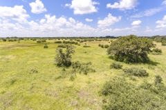 Foster Rd Ranch Pasture