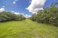 Foster Rd Ranch Sendero